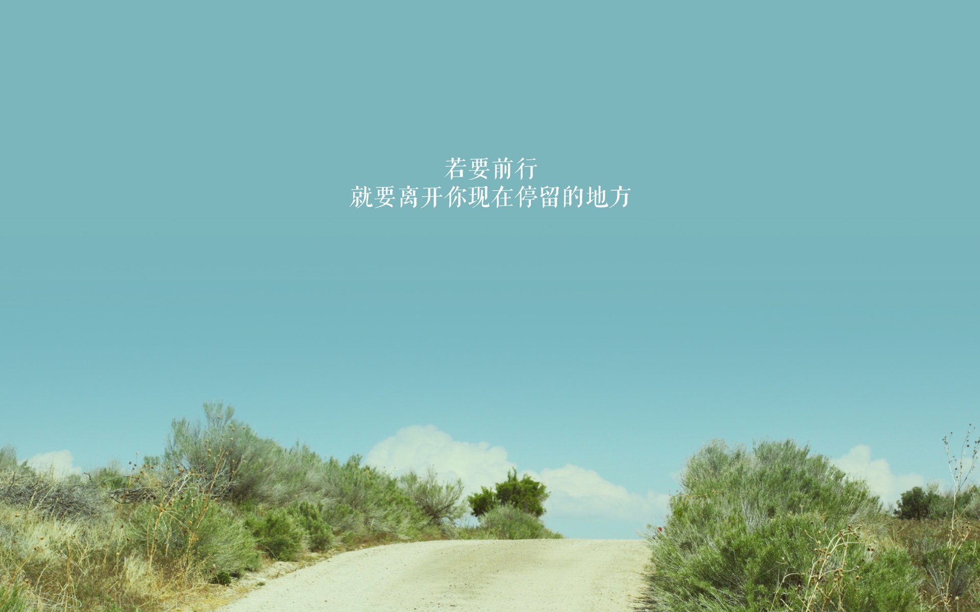 梦幻表演：亚洲足球明星齐聚同台，亚洲足球10大球星